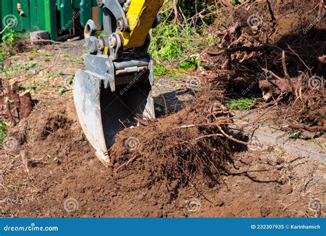 digging out tree stumps with mini excavator|mini tree stump removal.